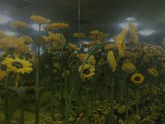 -天津梵高星空艺术馆(天河城旗舰店)
