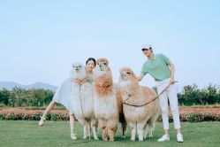 -金夫人婚纱摄影(总店)