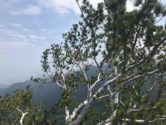 -少华山国家森林公园