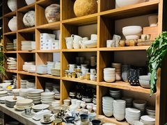 -自由生长植物工作室(深港花卉中心店)