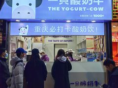 -一只酸奶牛(八一路店)
