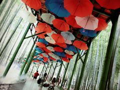 -陶祖圣境风景区