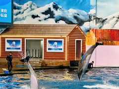 -西安曲江海洋极地公园