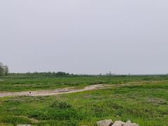 -湖南东洞庭湖国家级自然保护区