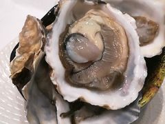 -新发展亚太JW万豪酒店·福苑咖啡厅