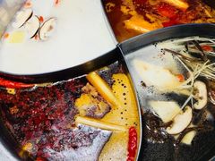 -彤德莱(奥林店)