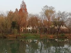 -西溪国家湿地公园