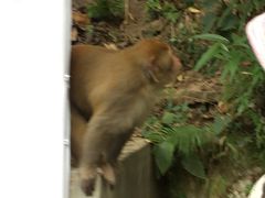 -黔灵山公园-南门售票处