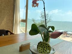 -无味舒食(环岛路店)