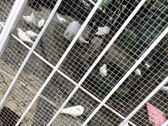 -凯德广场(金牛店)