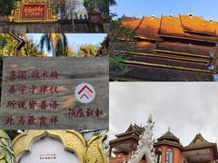 -西双版纳傣族园