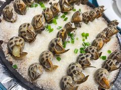 -北塘海鲜·天津菜(大光明桥旗舰店)