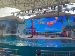 -三亚海昌梦幻海洋不夜城