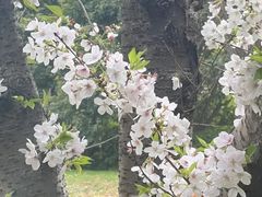 -上海瑞金洲际酒店