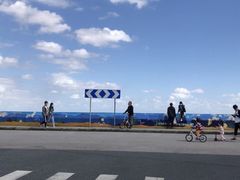 -南汇嘴观海公园