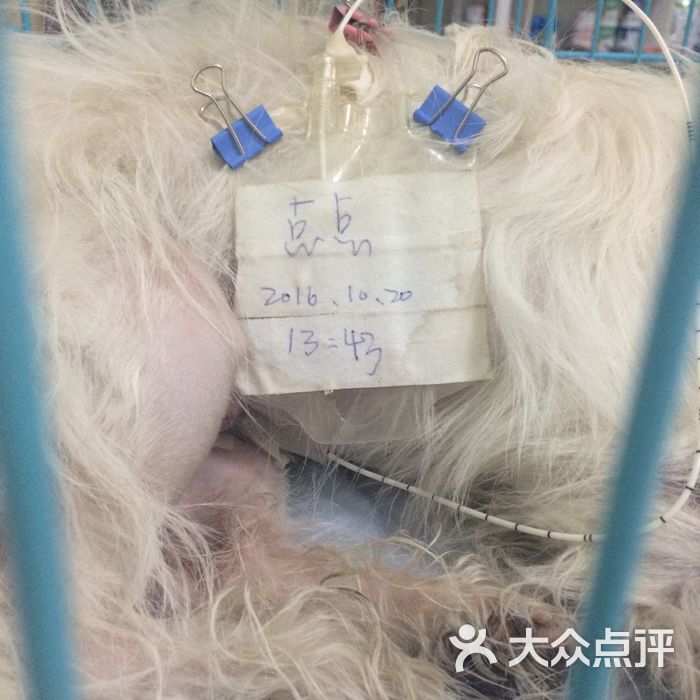 谢博士动物医院