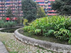 -成都市活水公园