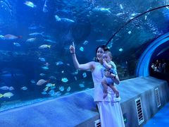 -太平洋海底世界