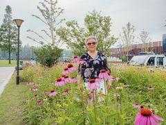 -黄海国家森林公园