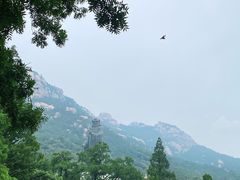 -青岛崂山太清宫
