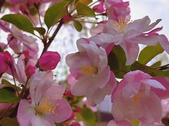 -元大都城垣遗址公园