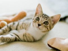 -万达广场(泰安泰山店)