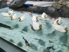 -海合安青岛极地海洋公园