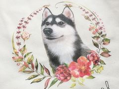 -Husky Go! 哈士奇体验馆·宠物咖啡厅狗咖