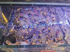 -健跳小海鲜(人民路店)