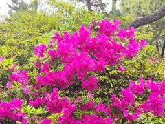 -玄武湖景区-情侣园游乐场