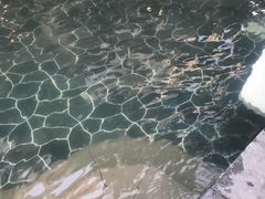 -海兰云天度假区温泉
