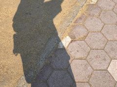 -观潮胜地公园