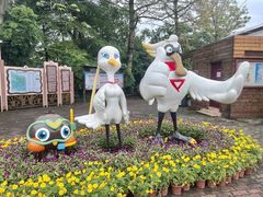 -大湾区中央湿地公园