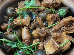 田螺鸡煲-棠记大排档(海珠店)