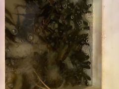 -小小河边鱼(天润城店)