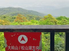 -东莞市大岭山森林公园