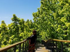 -东郊湿地公园
