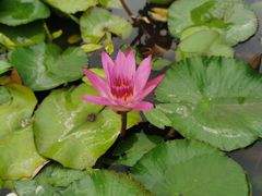 -三亚南山文化旅游区