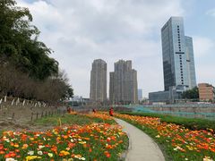 -望江楼公园