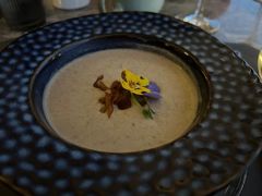 -Hi City·城市之巅