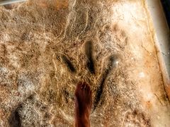 -湖南省地质博物馆