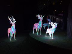 -杭州宋城