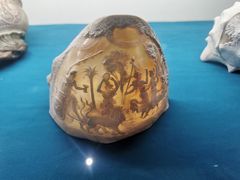 -青岛贝壳博物馆