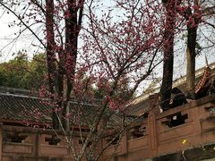 -望江楼公园