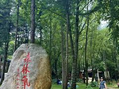 -洛阳白云山景区