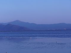 -深圳湾公园(南山区)