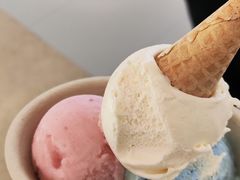 -极拉图·现制冰淇淋(大卫城店)