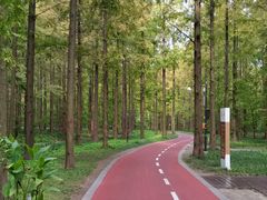 -黄海国家森林公园