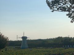 -武汉紫薇都市田园