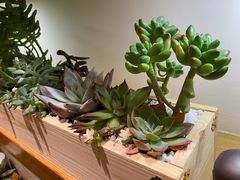 -畅和茶坊·曦瓜中国大红袍